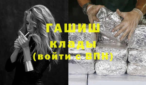индика Елабуга