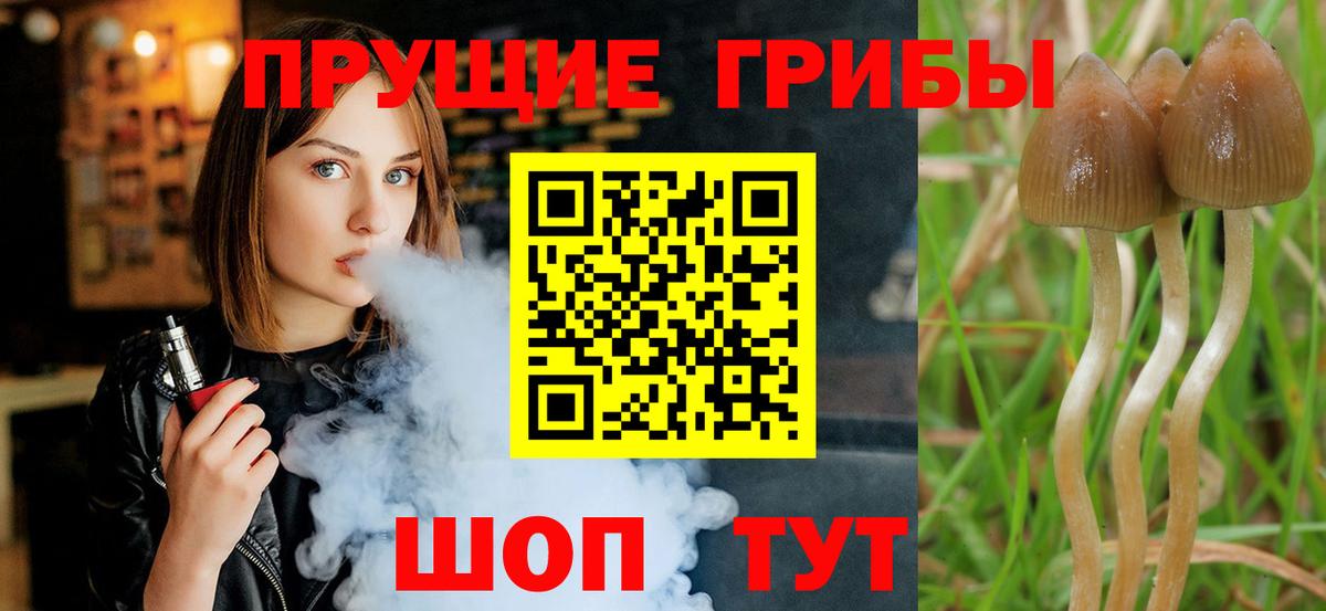 Галлюциногенные грибы Psilocybine cubensis  где купить наркотик  Глазов  Вход с VPN 